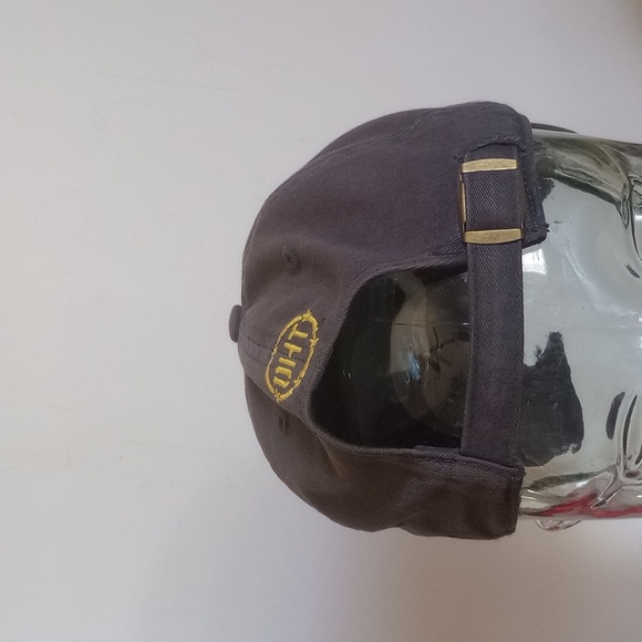 Michigan Wolverines Hat Cap Strap Back Adjustable Lithotype Logo Mens Sports - Picture 6 of 10